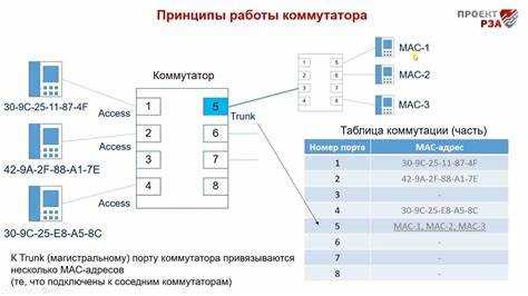 Как найти коммутатор в сети