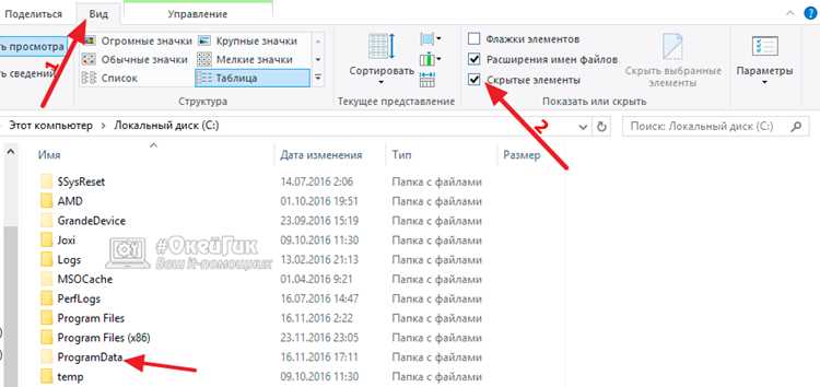 Как включить отображение скрытых папок через Панель управления