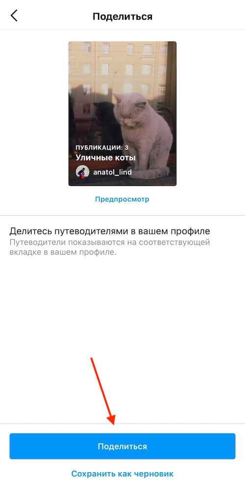 Где найти официальные формы обращения внутри приложения Инстаграм
