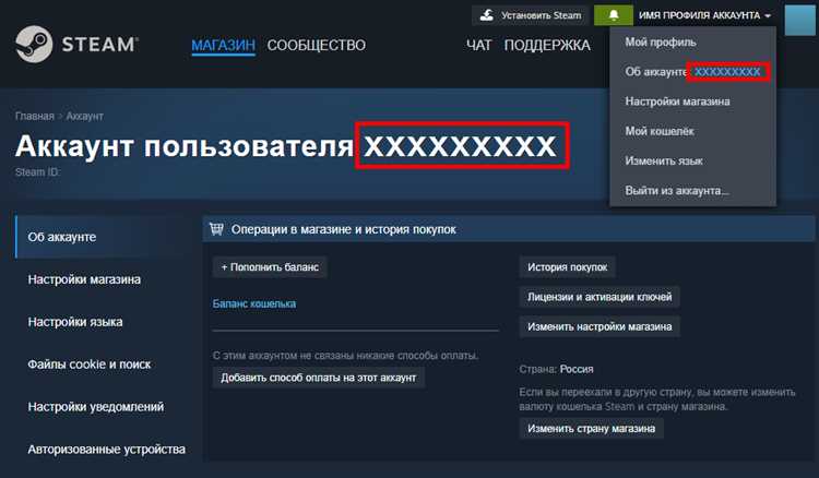 Где найти форму обращения в поддержку Steam в клиенте и браузере