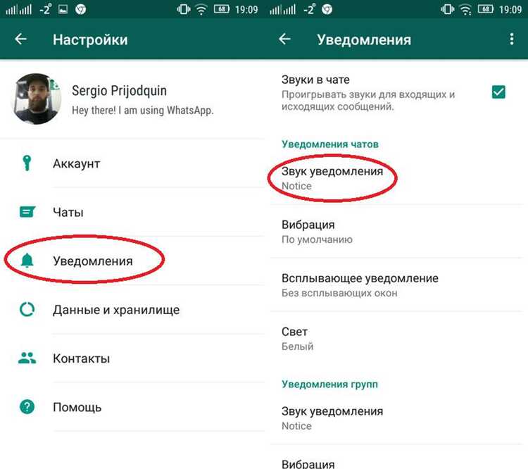 Какие форматы голосовых и аудиофайлов можно обрезать прямо в WhatsApp
