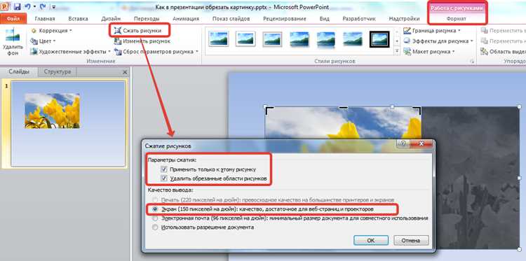 Как обрезать картинку в powerpoint Как обрезать картинку в powerpoint