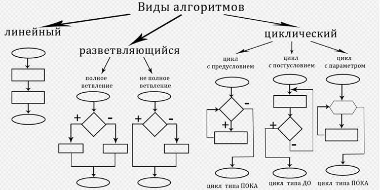 Машинное обучение и алгоритмы: как они работают в паре
