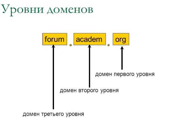 Что такое домен в программировании