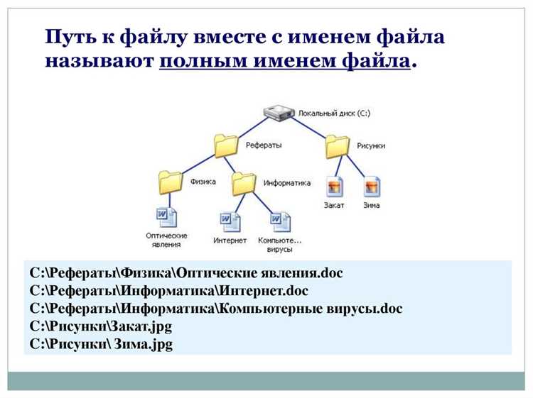 Структура и типы файлов в программировании