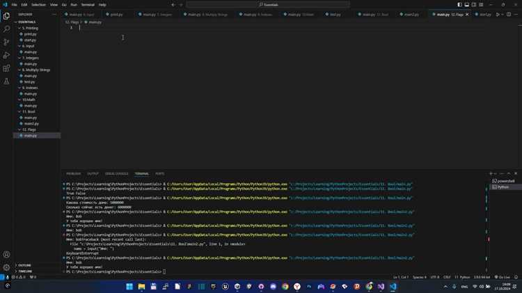 Что такое флаг в программировании python