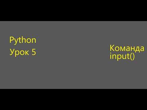 Практические примеры применения input в коде