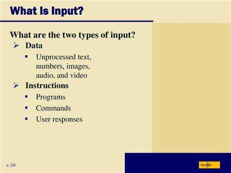 Что такое input в программировании