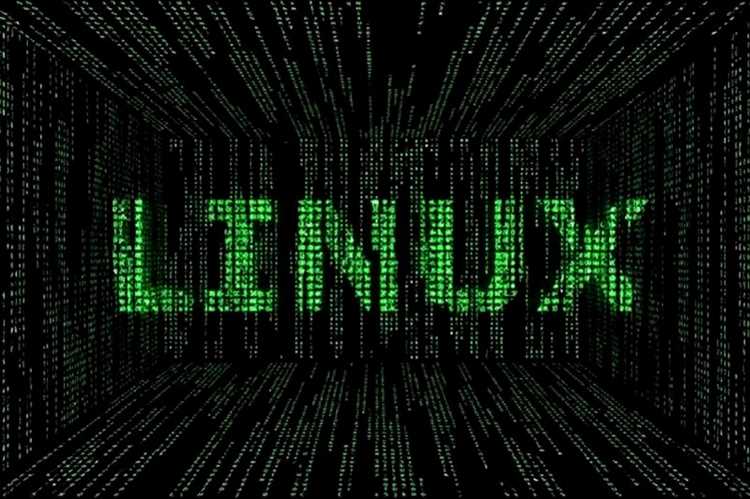 Что такое куча в программировании Что такое куча в программировании