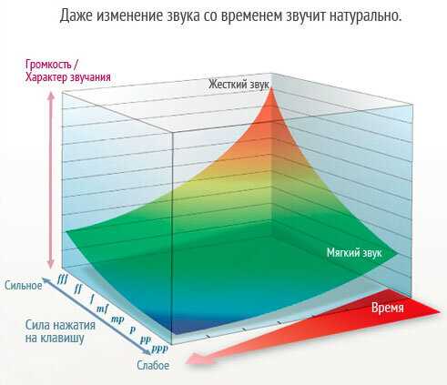 Отличие сэмпла от выборки и примера кода