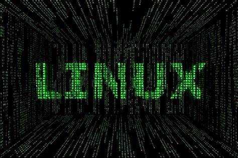 Что такое void в программировании