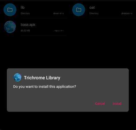 Что такое Com Google Android TrichromeLibrary на Android