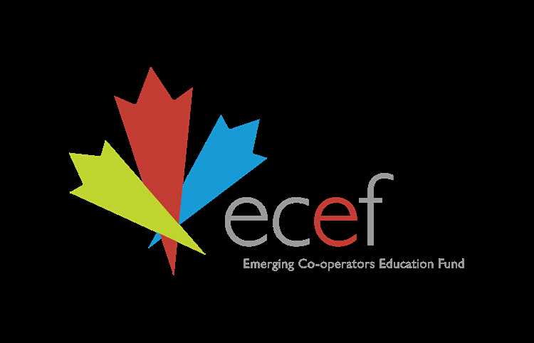 Логирование и отслеживание активности Ecef process