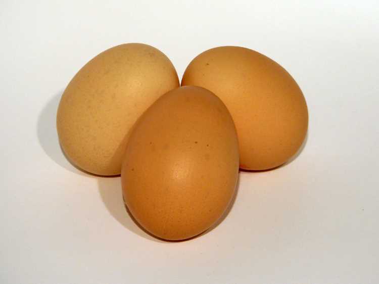 Что такое Egg info и для чего нужна эта функция