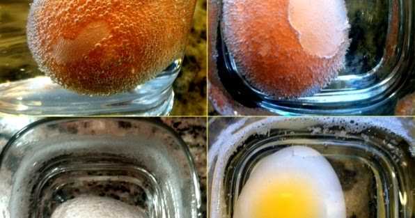 Возможные ошибки при работе с Egg info и их исправление