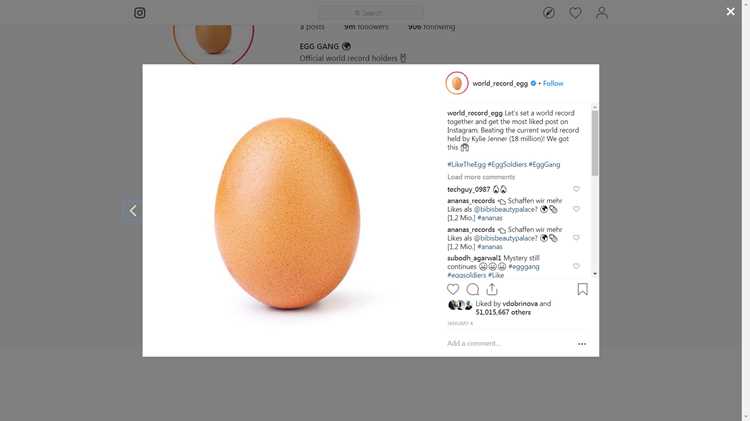 Egg info что это