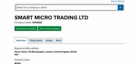 Основные направления деятельности Global microtrading pte ltd