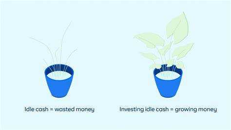 Idle cash что это