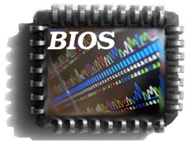 Как выбрать оптимальный объем IGD Memory для своей системы