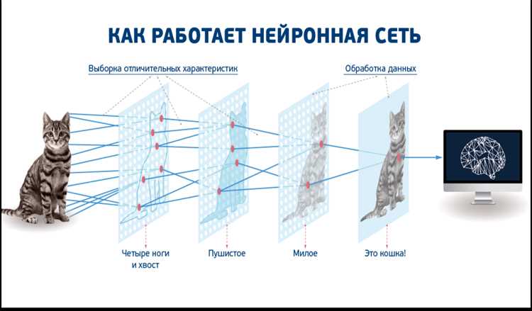 Создание тестов и проверка корректности программ с помощью нейросетей