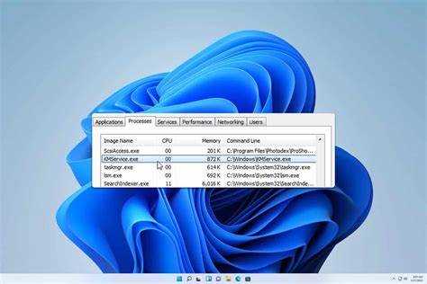 Назначение Kmservice exe в системе Windows