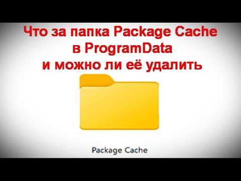 Msocache папка: назначение и удаление