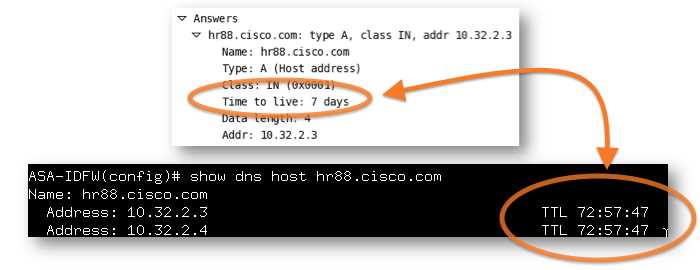 No ip domain lookup cisco что это