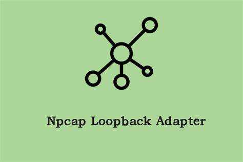 Npcap loopback adapter что это
