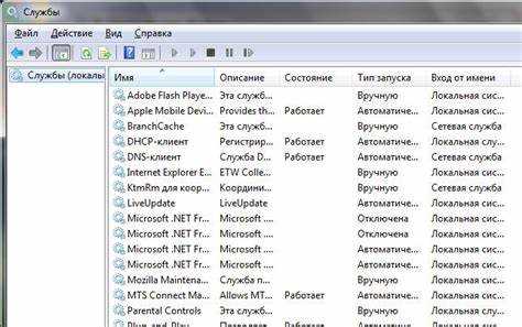 Что представляет собой процесс ouc.exe?