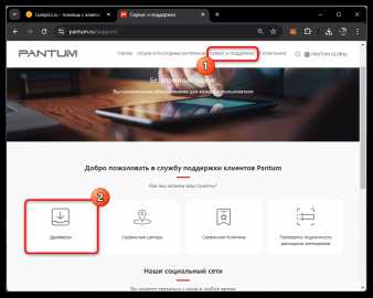 Что представляет собой программа Pantum Status Monitor