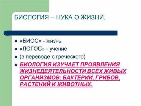 Когда нужно изменять настройки Pcipnp в BIOS