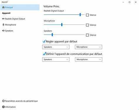 Что такое Realtek HD Audio в автозагрузке