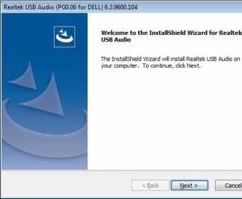 Realtek usb audio что это