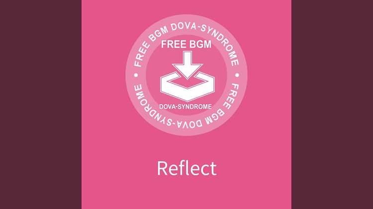 Назначение и основные функции Reflectdlhf