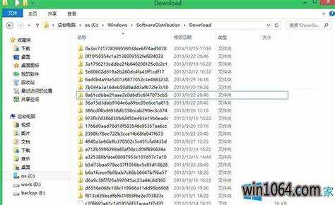 Regid 1991 06 microsoft что это