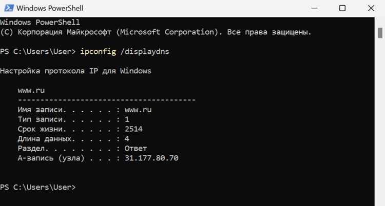 Как проверить влияние записи Rhino acme com на соединения