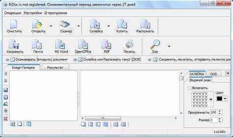 Как настроить Ridoc для автоматической обработки файлов