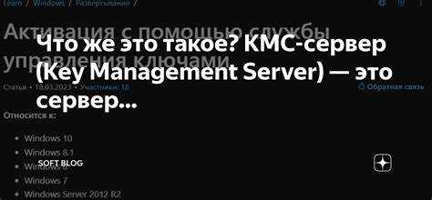 Для чего используется TAP-адаптер KMS при активации Windows и Office