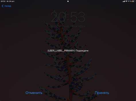 Роль User label primary в настройках iPad