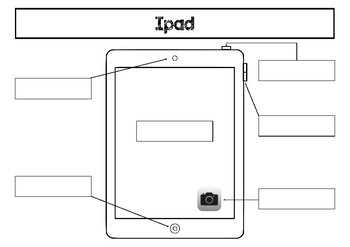 User label primary на iPad: что это и как используется