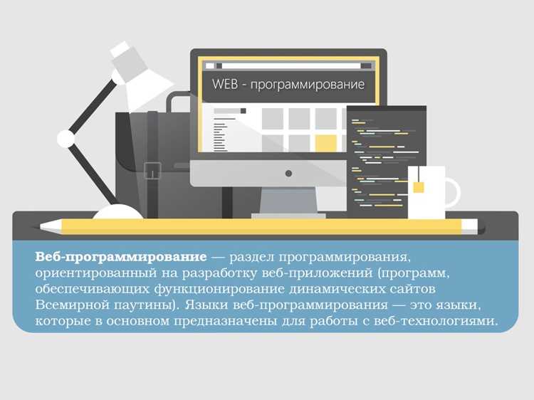 Веб программирование что это такое