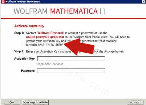 Wolfram mathematica как запустить вычисление