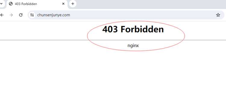 403 forbidden nginx как исправить 403 forbidden nginx как исправить