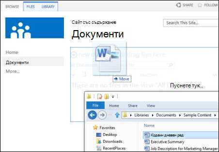 Что представляет собой папка Microsoft Net и где она находится
