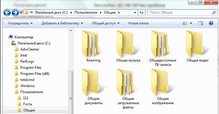 Для чего нужна папка microsoft net