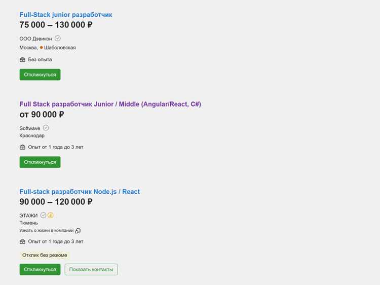Какие задачи решает Full stack разработчик в типичном проекте