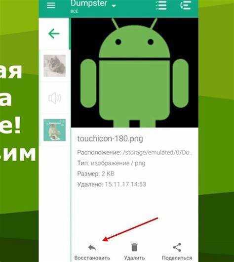 Что делать, если корзина в WhatsApp не отображается