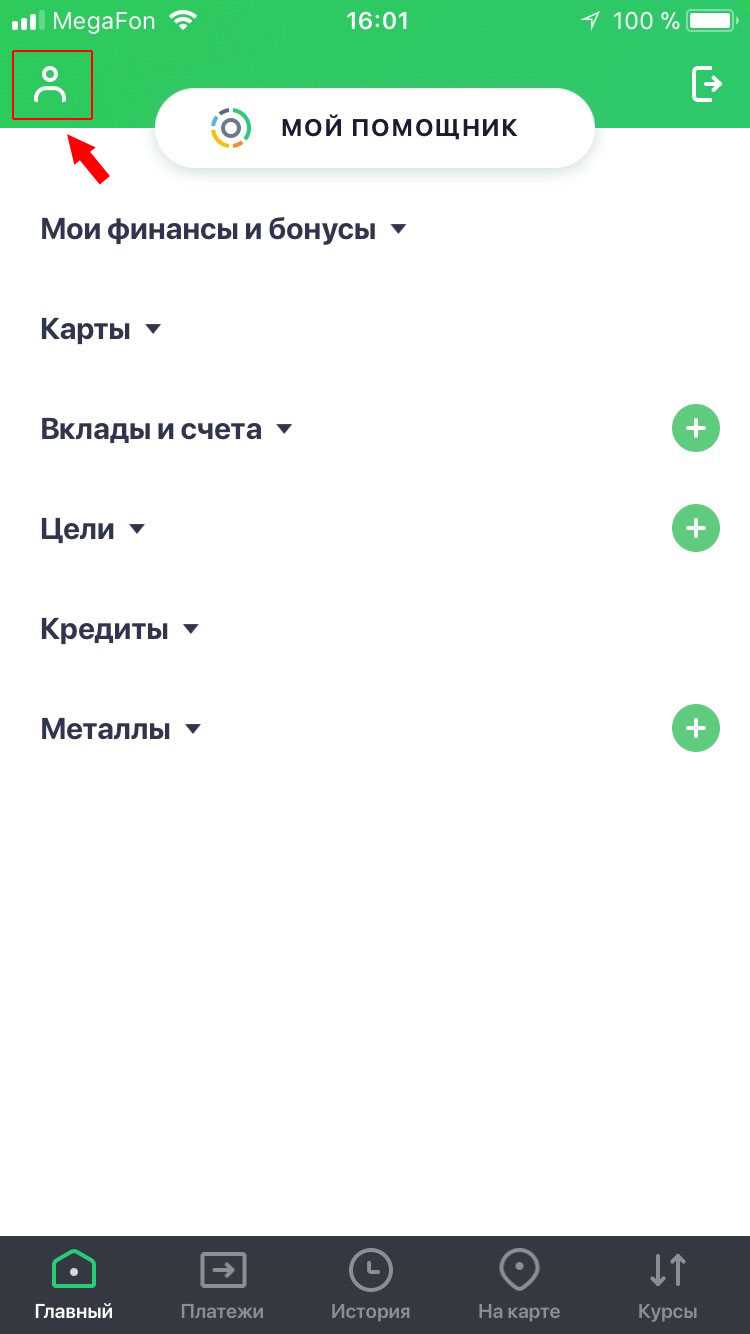 Расположение кнопки расширения в мобильном приложении Сбербанк Онлайн
