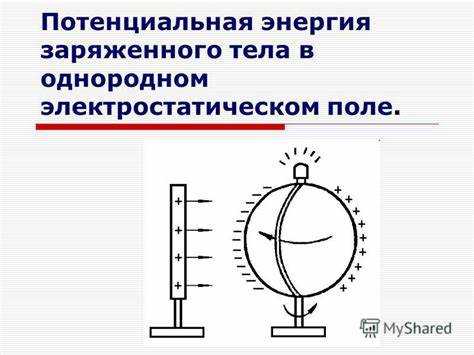 Влияние знака заряда на направление и конфигурацию поля
