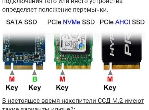 Освобождение памяти, выделенной через malloc и calloc